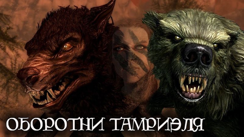 Оборотни Тамриэля | The Elder Scrolls Лор