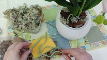 Имитация грунта