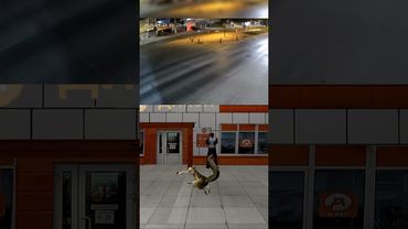 Ловко ушёл от погони