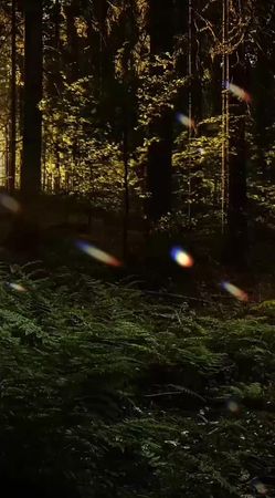 #привет #хорошегодня #приветик #врекоменды  #какможетбытьлучше #врекки