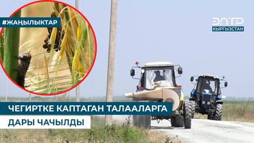 ЧЕГИРТКЕ КАПТАГАН ТАЛААЛАРГА ДАРЫ ЧАЧЫЛДЫ