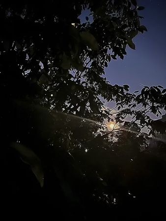 TikTok video #7504347471716437270