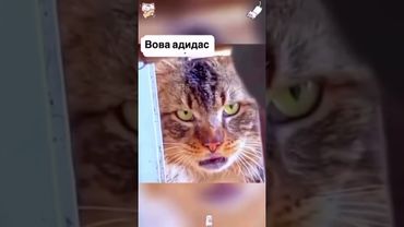 17 августа 2025 г.