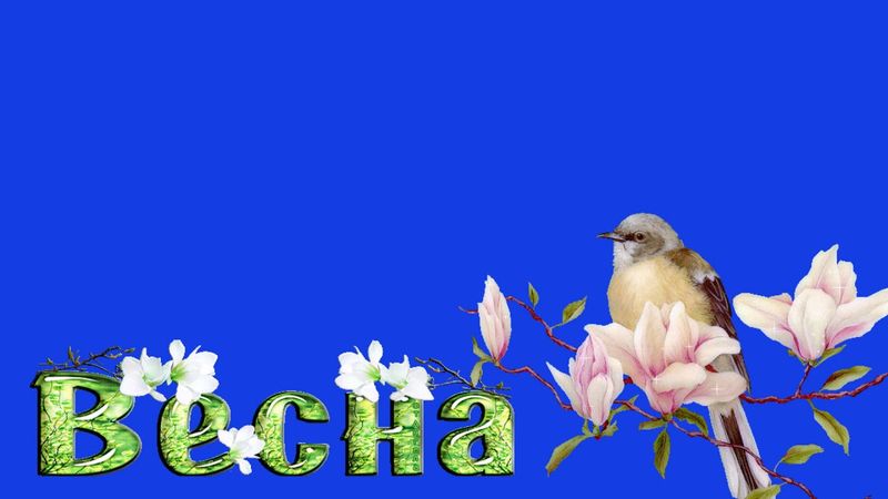 весна на хромакее