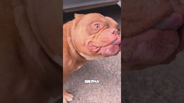 Люди обходили её стороной, но этот мальчик её выбрал #животные