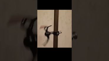 Сюрприз для шумных соседей.  A surprise for noisy neighbors. #handmade #diy #art