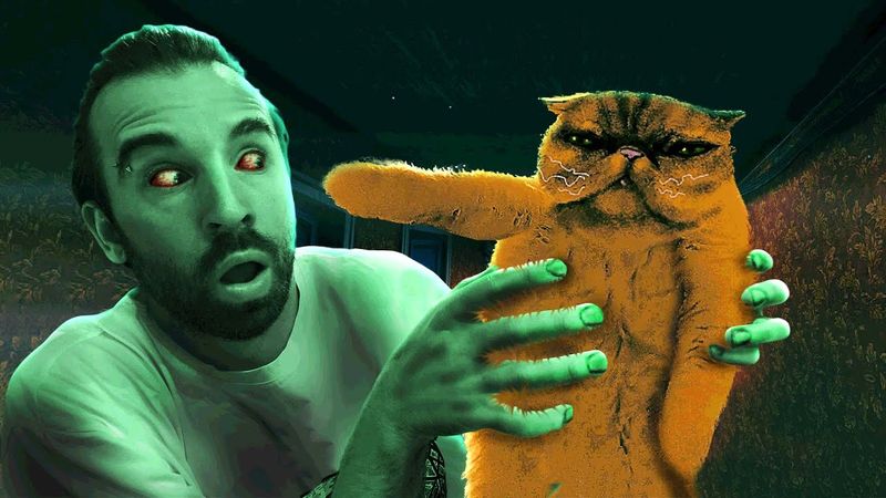 КОТИК ПОКАЖЕТ КТО ГОСТЬ в No, I'm not a Human