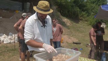 Челюсть человека возрастом 1,8 млн лет нашли в Грузии