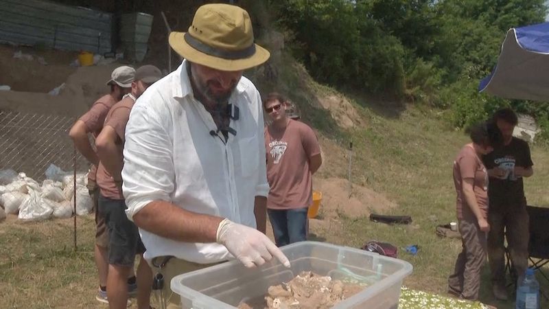 Челюсть человека возрастом 1,8 млн лет нашли в Грузии