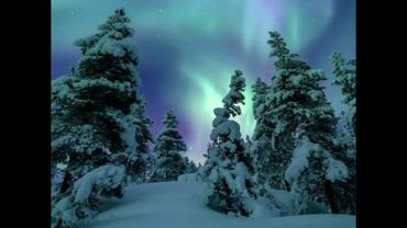 Manasha ( Slowed ) - Ashreveal