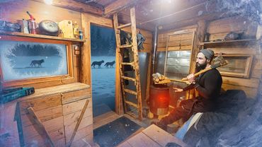 ТАЕЖНАЯ ИЗБА ПРИЮТИЛА в МОРОЗ - ДИКИЕ ЗВЕРИ на ПОРОГЕ | ОДИН В ЛЕСУ