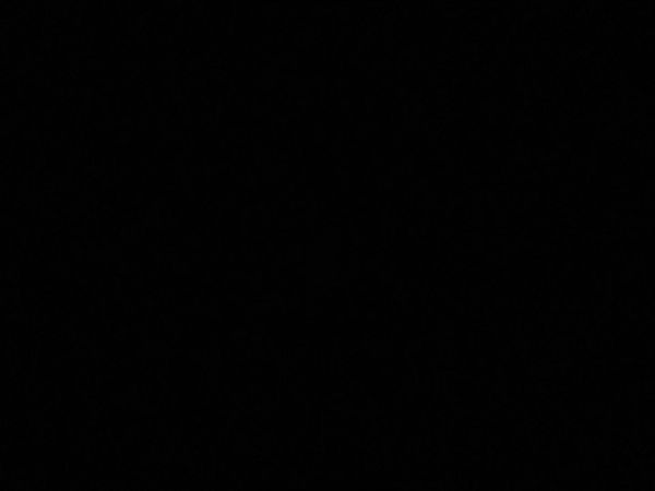 СЛАВА РУССКОМУ ОРУЖИЮ #россия #всрф #сво #оружие #мамаялюблютебя 