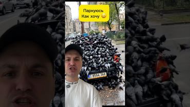 Паркуюсь как хочу #авто #автомобили #парковка