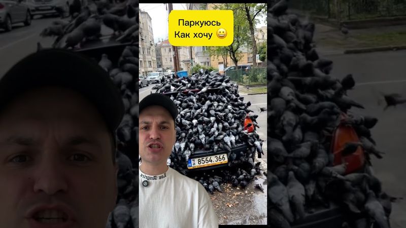 Паркуюсь как хочу #авто #автомобили #парковка