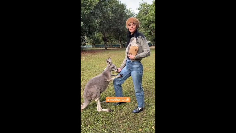 Katy Perry enjoys the sights at Australia Zoo