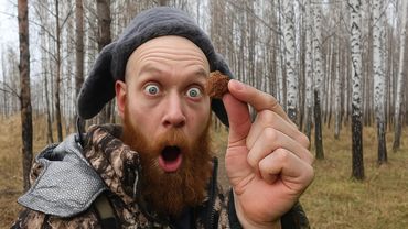 КАБАНЫ ПОДКИНУЛИ НАВОДКУ