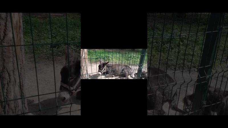 Їхні розповіді про періоди палеоліту та неоліту залишають величезні прогалини