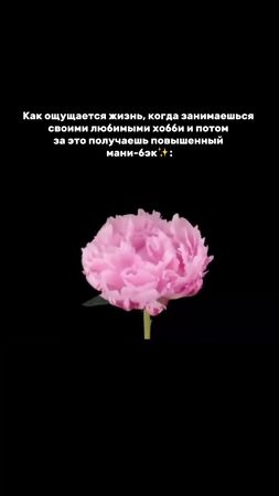 Потому что в июне в Банке БелВЭБ мани-бэк до 5% на категорию «Хобби и...
