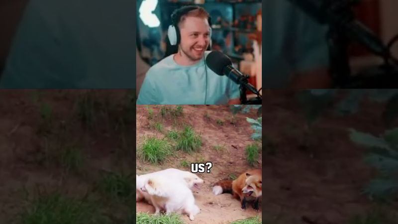 что я слышу #стинт #stint #stintik #прикол #реакция