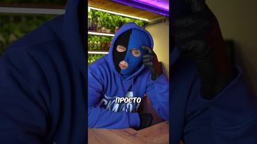 Вот что произошло при полном запрете🤓