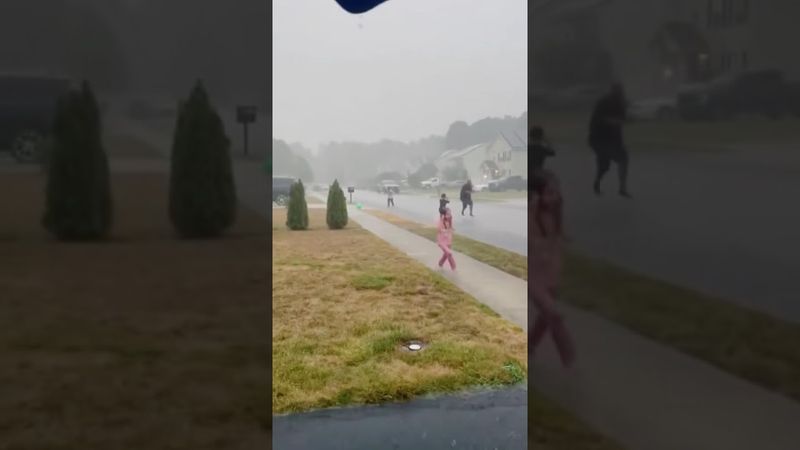 فيديوهات نادرة