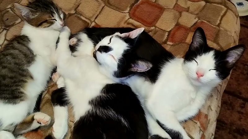 #Славянск. 21 октября 2025г. Вечер.