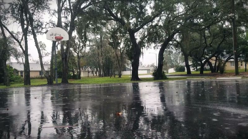 Rain Sounds without Thunder to Fall Asleep, Study, Meditate or Relax