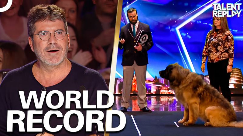 Hagrid The Dog BREAKS World Record | Britain's Got Talent