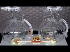 Столото представляет | Лотерея «Спортлото «4 из 20». Тираж № 10979 от 15.07.2025 г.