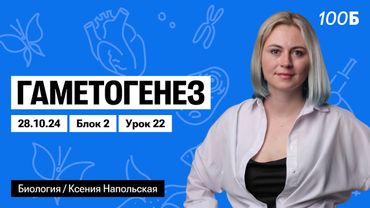 Гаметогенез | Биофак 2025 | Урок 22