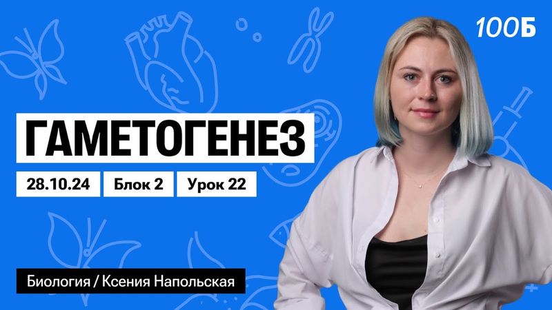 Гаметогенез | Биофак 2025 | Урок 22