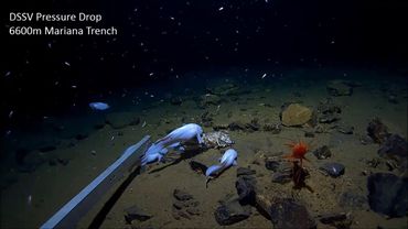 Mariana Trench: 6,600m Exploration