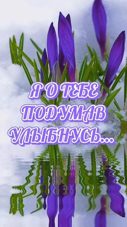 Всем добра❤