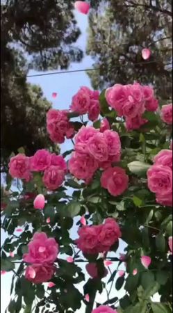 #доброеутродрузья #