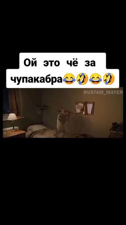 #сВТБлегко #смех #угарн #Garnierперемотка #у #вр #тапайпокупай #т #ме...