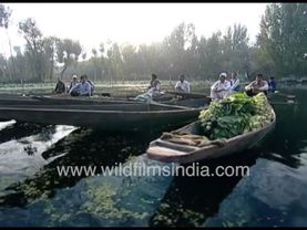 Vegetables being sold off a shikara boat on Kashmir's Dal Lake