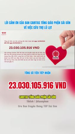 LỜI CẢM ƠN CỦA BAN CARITAS TỔNG GIÁO PHẬN SÀI GÒN VỀ VIỆC CỨU TRỢ LŨ ...