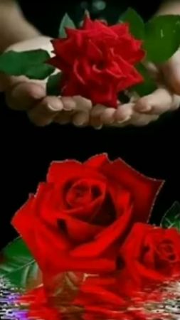 TikTok video #7013619042896350465