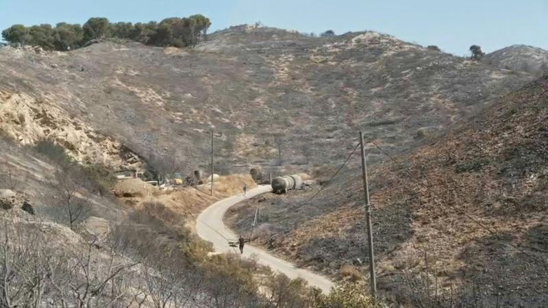 Wildfire leaves trail of destruction in northern Marseille | AFP