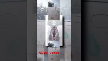 запрос от @Serega4617a4: PLPMV рро Scan