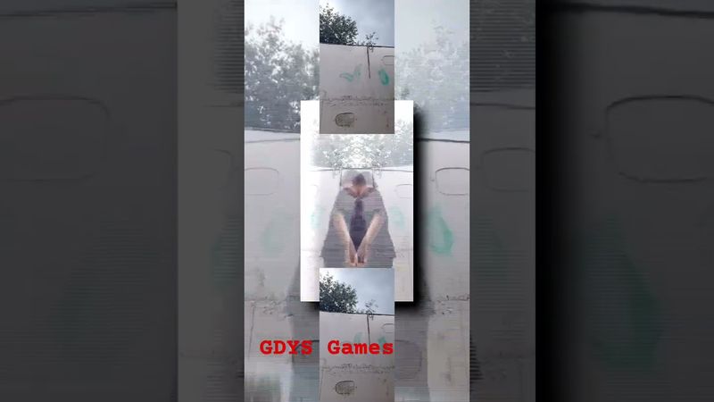 запрос от @Serega4617a4: PLPMV рро Scan