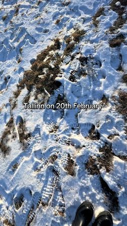 I can feel the fresh air #cleanair #estonia #tallinn #winterbeach 