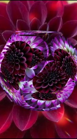 #добрыйвечердрузья #