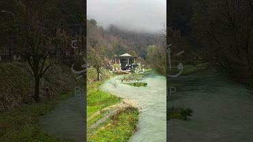 Surah Yassin by Maher Al Mueaqly#shorts #short #shortvideo