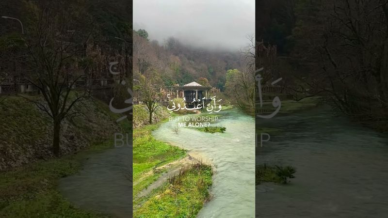 Surah Yassin by Maher Al Mueaqly#shorts #short #shortvideo