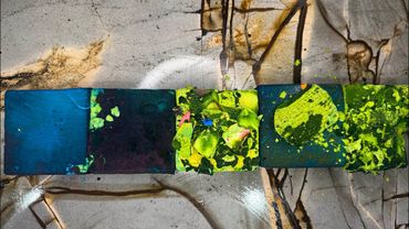 ASMR | Dual Deep Dyed CMG