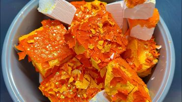 Yellow Dyed BSN + G1 in white✨