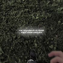 @поляя что за красотка | ᴛᴩᴇᴋ ʙ ᴛɢᴋ:ᴋᴀᴛᴀɴᴀ #bmw #edit #fup #katanapin...