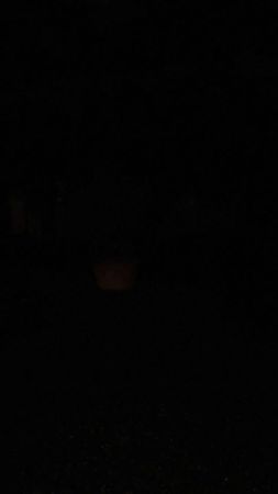 Hey, Stop!⛔ #THE_SIN_VANISH #EN_Stealer #ENHYPEN