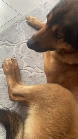 TikTok video #7593699200047631638